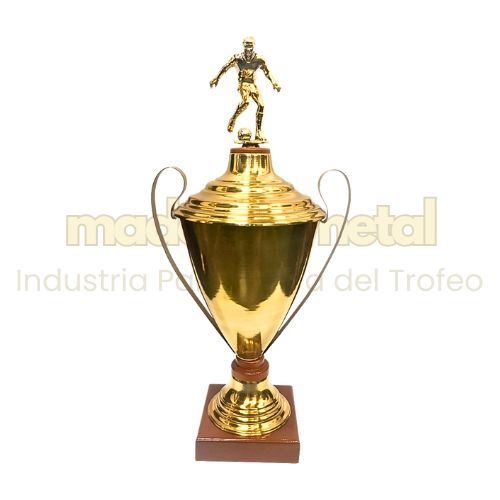Imagen de Copa de metal con tapa - M5.4010
